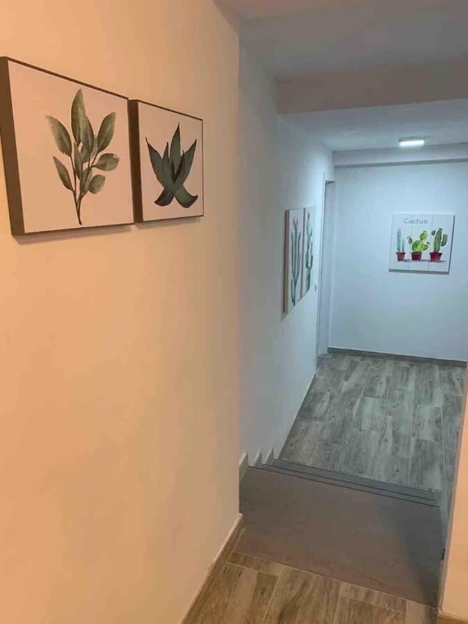 Apartmán Casa Hana Mogán Exteriér fotografie